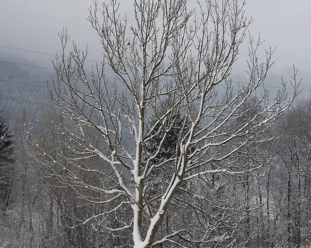 Stoanerhof בית חווה אודרנס