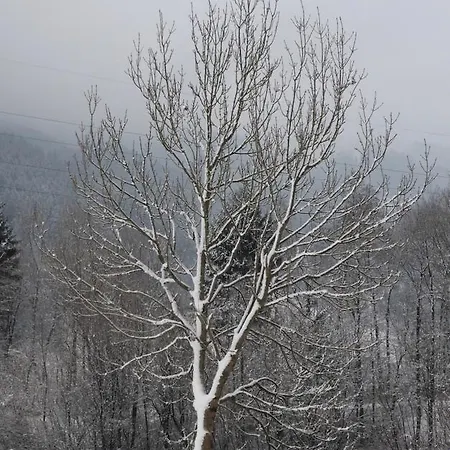 Stoanerhof Farma Uderns